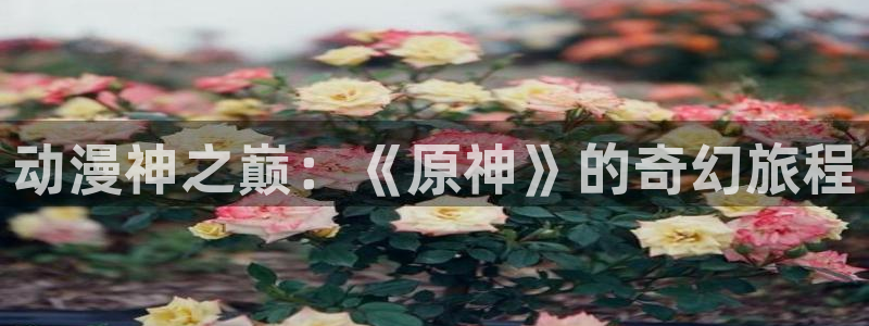 age专注动漫的门户网站：动漫神之巅：《原神》的奇幻旅程