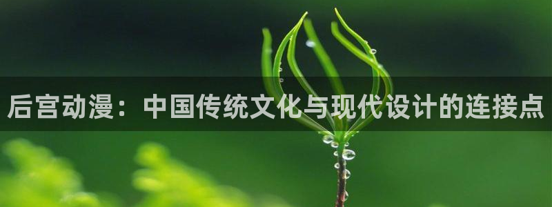 age动漫官网网址：后宫动漫：中国传统文化与现代设计的连接点