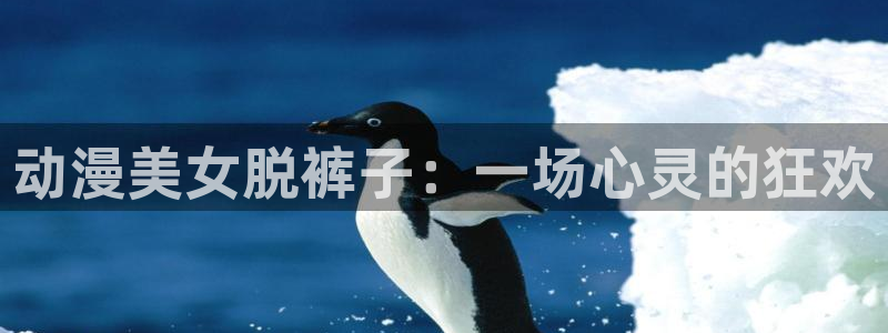 age动漫网上看：动漫美女脱裤子：一场心灵的狂欢