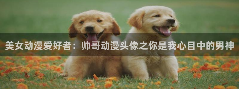 age动漫官网在线入口：美女动漫爱好者：帅哥动漫头像之你是我心目中的男神