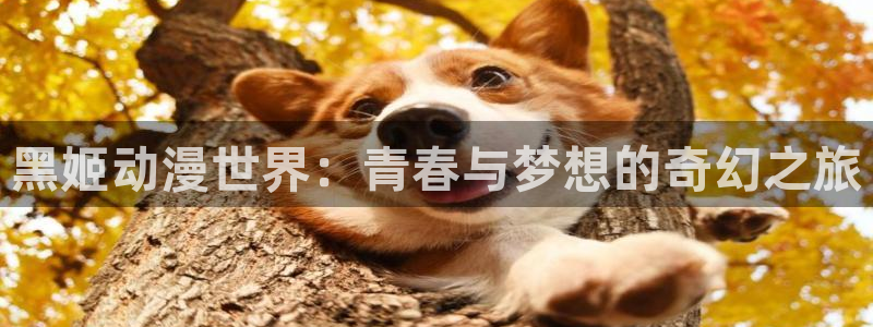 age樱花动漫：黑姬动漫世界：青春与梦想的奇幻之旅