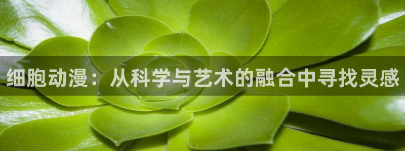 age动漫正版网：细胞动漫：从科学与艺术的融合中寻找灵感