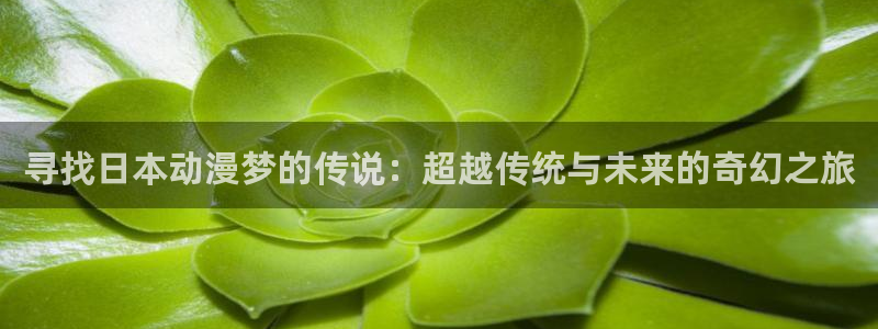age动漫官网樱花动漫：寻找日本动漫梦的传说：超越传统与未来的奇幻之旅