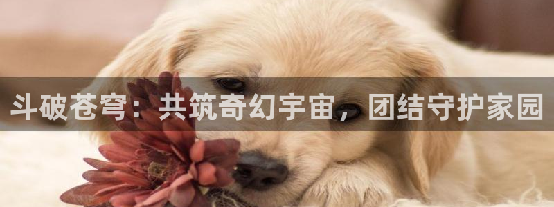 age樱花动漫：斗破苍穹：共筑奇幻宇宙，团结守护家园