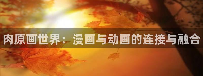 age动漫网上看：肉原画世界：漫画与动画的连接与融合