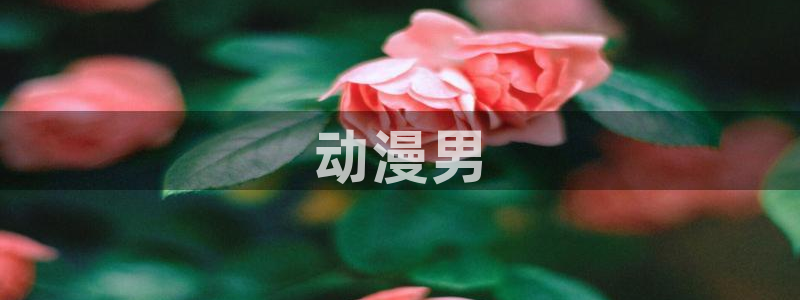 age动漫官网版入口：动漫男