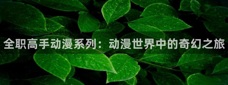 age动漫网下载：全职高手动漫系列：动漫世界中的奇幻之旅